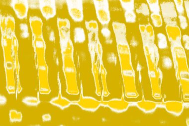 Kopya alanı olan soyut sarı desenli duvar