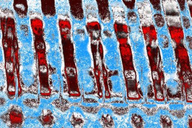  grunge arkaplanı, boşluk duvar kağıdını kopyala, soyut renkli doku arkaplanı