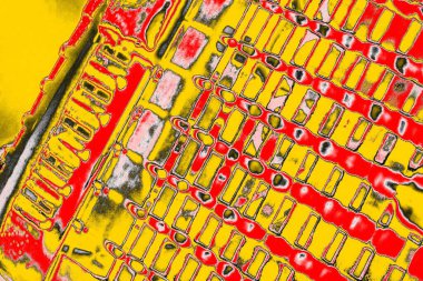 Soyut sanat duvar resmi. Modern, çağdaş sanat geçmişi