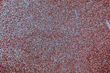  grunge arkaplanı, boşluk duvar kağıdını kopyala, soyut renkli doku arkaplanı