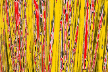 Soyut sanat duvar resmi. Modern, çağdaş sanat geçmişi