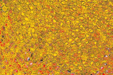 Soyut sanat duvar resmi. Modern, çağdaş sanat geçmişi