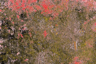 Soyut sanat duvar resmi. Modern, çağdaş sanat geçmişi