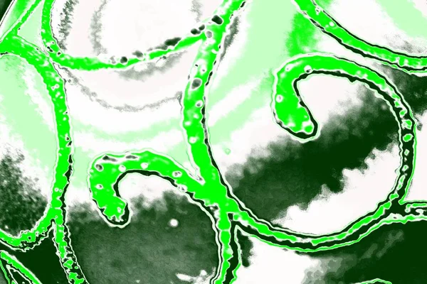 kopyalama alanı olan soyut yeşil desenli duvar