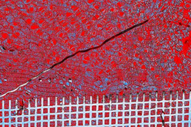 yaratıcı ve tasarım sanatı, kopyalama alanı duvar kağıdı, soyut renkli doku arkaplanı