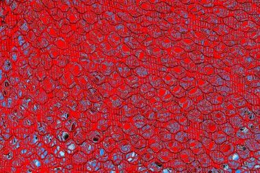 yaratıcı ve tasarım sanatı, kopyalama alanı duvar kağıdı, soyut renkli doku arkaplanı