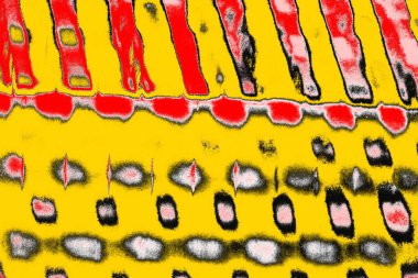 Soyut sanat duvar resmi. Modern, çağdaş sanat geçmişi