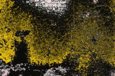 Soyut sanat duvar resmi. Modern, çağdaş sanat geçmişi