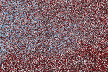  grunge arkaplanı, boşluk duvar kağıdını kopyala, soyut renkli doku arkaplanı