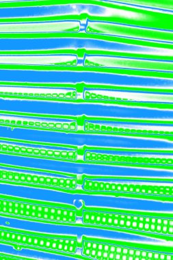 Soyut sanat duvar resmi. Modern, çağdaş sanat geçmişi