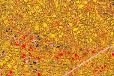 Soyut sanat duvar resmi. Modern, çağdaş sanat geçmişi