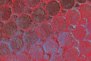 soyut renkli doku arkaplanı, uzay duvar kağıdını kopyala