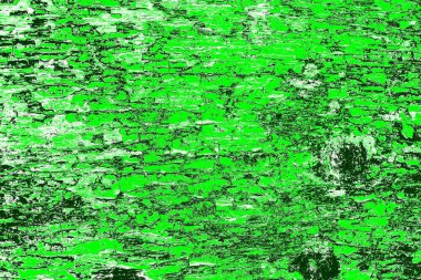 kopyalama alanı olan soyut yeşil desenli duvar