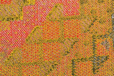 Soyut sanat duvar resmi. Modern, çağdaş sanat geçmişi