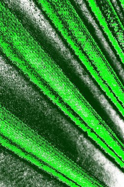 kopyalama alanı olan soyut yeşil desenli duvar