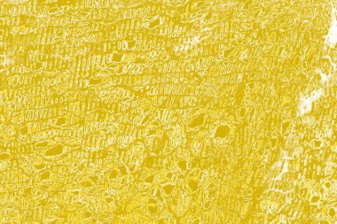 Kopya alanı olan soyut sarı desenli duvar