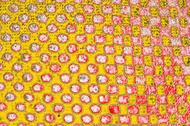 Soyut sanat duvar resmi. Modern, çağdaş sanat geçmişi