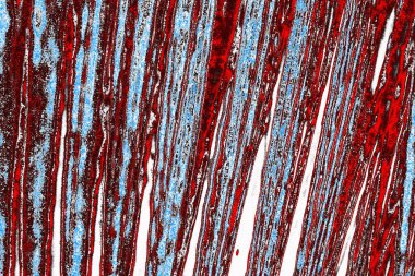  grunge arkaplanı, boşluk duvar kağıdını kopyala, soyut renkli doku arkaplanı