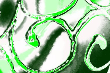 kopyalama alanı olan soyut yeşil desenli duvar