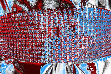  grunge arkaplanı, boşluk duvar kağıdını kopyala, soyut renkli doku arkaplanı