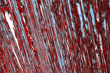  grunge arkaplanı, boşluk duvar kağıdını kopyala, soyut renkli doku arkaplanı