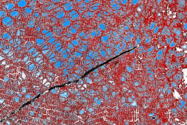  grunge arkaplanı, boşluk duvar kağıdını kopyala, soyut renkli doku arkaplanı