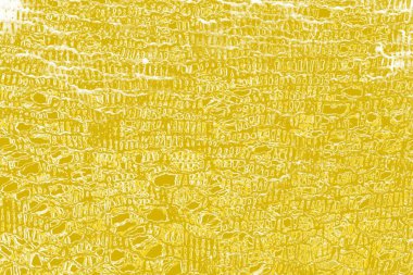 Kopya alanı olan soyut sarı desenli duvar