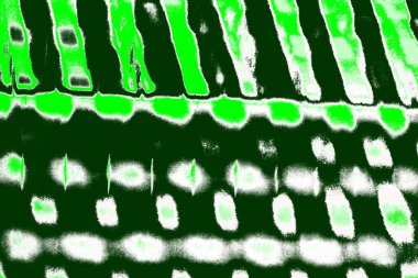 Soyut sanat duvar resmi. Modern, çağdaş sanat geçmişi