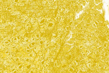 Kopya alanı olan soyut sarı desenli duvar