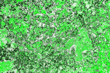 kopyalama alanı olan soyut yeşil desenli duvar