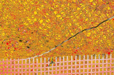 Soyut sanat duvar resmi. Modern, çağdaş sanat geçmişi