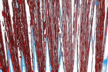  grunge arkaplanı, boşluk duvar kağıdını kopyala, soyut renkli doku arkaplanı