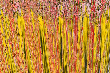 Soyut sanat duvar resmi. Modern, çağdaş sanat geçmişi