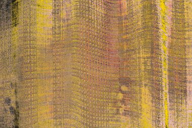 Soyut sanat duvar resmi. Modern, çağdaş sanat geçmişi