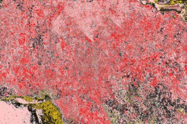 Soyut sanat duvar resmi. Modern, çağdaş sanat geçmişi