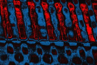 arkaplan olarak soyut renk dokusu, duvar kağıdını kopyala 