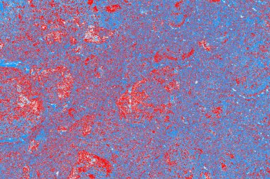 arkaplan olarak soyut renk dokusu, duvar kağıdını kopyala 