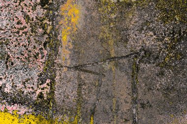 Soyut sanat duvar resmi. Modern, çağdaş sanat geçmişi