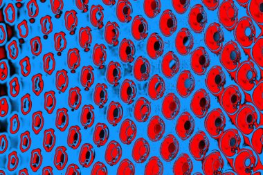 soyut renk dokusu, arkaplan, duvar kağıdını kopyala