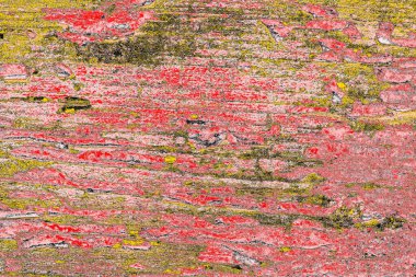 Soyut sanat duvar resmi. Modern, çağdaş sanat geçmişi