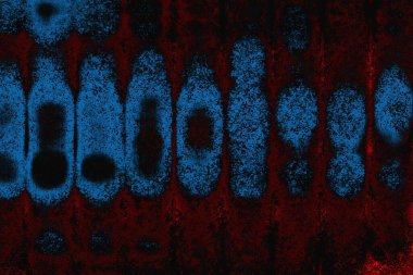 arkaplan olarak soyut renk dokusu, duvar kağıdını kopyala 