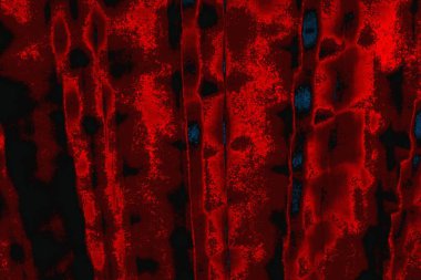 arkaplan olarak soyut renk dokusu, duvar kağıdını kopyala 