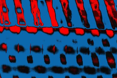 Soyut sanat duvar resmi. Modern, çağdaş sanat geçmişi