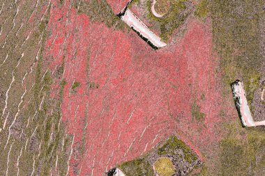 Soyut sanat duvar resmi. Modern, çağdaş sanat geçmişi