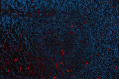 arkaplan olarak soyut renk dokusu, duvar kağıdını kopyala 