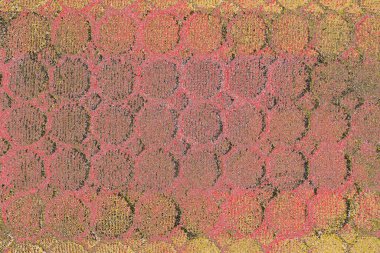 Soyut sanat duvar resmi. Modern, çağdaş sanat geçmişi