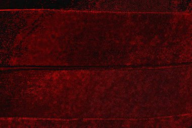 arkaplan olarak soyut renk dokusu, duvar kağıdını kopyala 