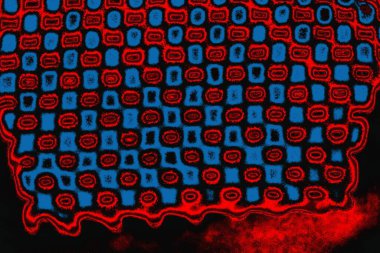 arkaplan olarak soyut renk dokusu, duvar kağıdını kopyala 