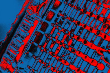 Soyut sanat duvar resmi. Modern, çağdaş sanat geçmişi