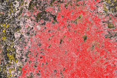 Soyut sanat duvar resmi. Modern, çağdaş sanat geçmişi